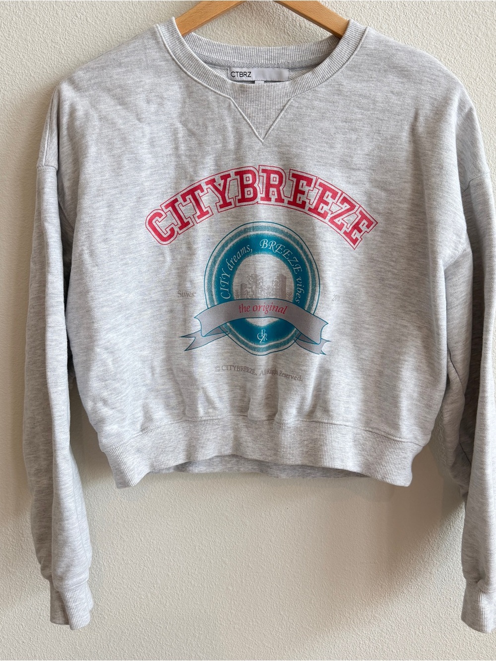 Citybreeze Grey Crewneck Sweatshirt